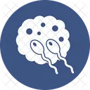 Sexual Sperm Fertile Procreation Icon
