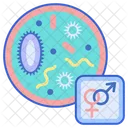Sexually Transmitted Infections Sex Couple Icon