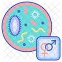 Sexually Transmitted Infections Sex Couple Icône