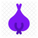 Shallot Onion Organic Icon