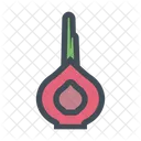 Shallot Fruit Fruits Icon