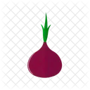 Shallot Food Healthy Icon