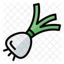 Shallot Onion Garlic Icon