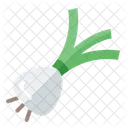 Shallot Onion Garlic Icon