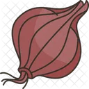 Shallot  Icon