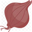 Shallot  Icon