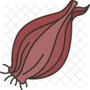 Shallot  Icon