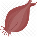 Shallot  Icon