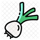 Shallot Vegetable Onion Icon