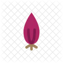 Shallot  Icon