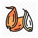 Shallot Onion Shallot Vegetable Icon