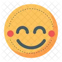 Shame  Icon