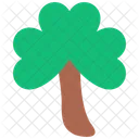 Shamrock Green Clover Icon