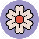 Shamrock Shape Flower Icon