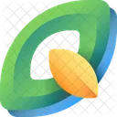 Shape-  Icon