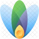 Shape-  Icon