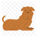Shar Pei Dog Puppy Icon