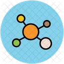 Share Network Database Icon