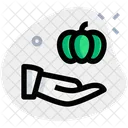 Share Pumpkin Icon