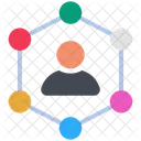 Network Networking Connection Icon