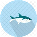 Shark Sealife Fish Icon