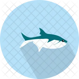 Shark  Icon