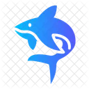 Shark Animal Sea Icon