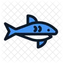 Shark Fish Predator Icon