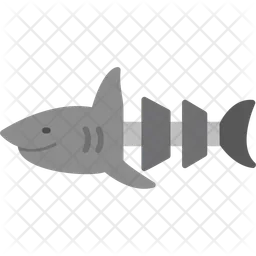 Shark  Icon