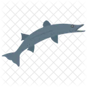 상어 물고기 동물 아이콘