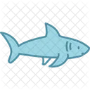 Shark Icon