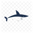 Shark Vector Swimming Icon