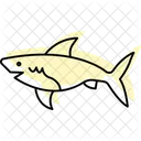Shark Ocean Marine Icon