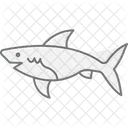 Shark Ocean Marine Icon