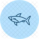 Shark Ocean Marine Icon