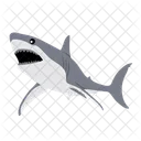 Shark Whale Danger Icon