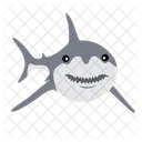 Shark Whale Danger Icon