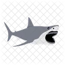 Shark Whale Danger Icon