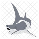 Shark Whale Danger Icon