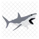 Shark Whale Danger Icon