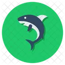 Shark Sea Animal Sea Creature Icon