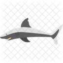Animal Fish Shark Icon