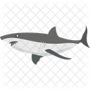 Animal Fish Shark Icon