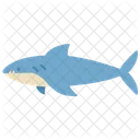 Shark Animal Fish Icon