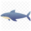 상어 동물 물고기 아이콘