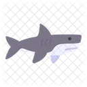 Shark Animal Wild Icon