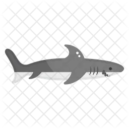 Shark  Icon