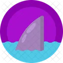 Shark Fish Sea Icon