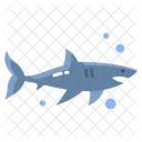 Shark Sea Fish Sea Animal Icon