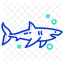 Shark Sea Fish Sea Animal Icon
